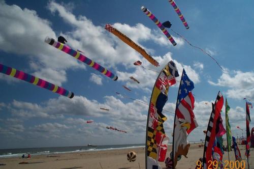 Boardwalk Kites